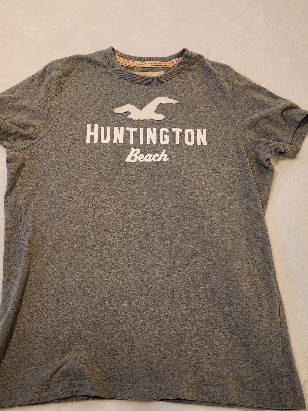 Vintage Y2K Hollister Huntington Beach Graphic Tee - Gray - Size L